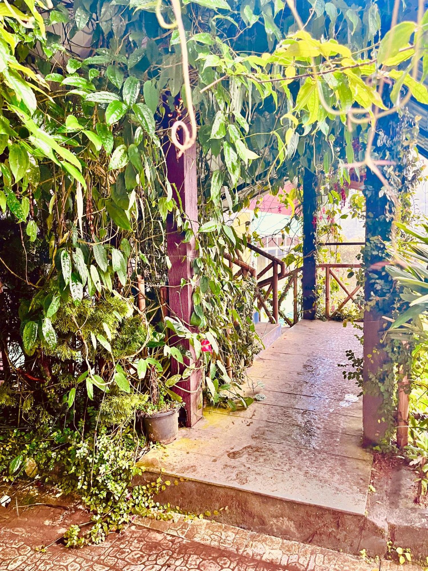 Munnar Tea Estate Cottage And Resort - Away From City Hustle ภายนอก รูปภาพ