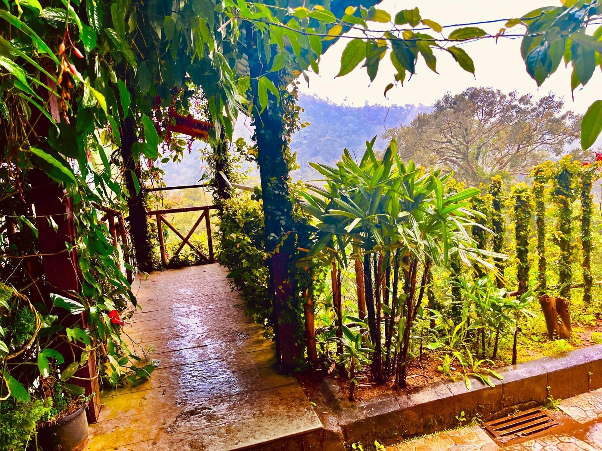 Munnar Tea Estate Cottage And Resort - Away From City Hustle ภายนอก รูปภาพ