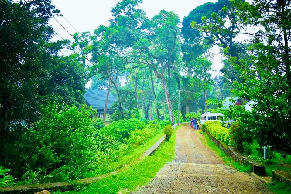 Munnar Tea Estate Cottage And Resort - Away From City Hustle ภายนอก รูปภาพ